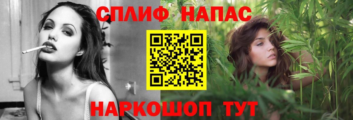 Марихуана сатива Северск